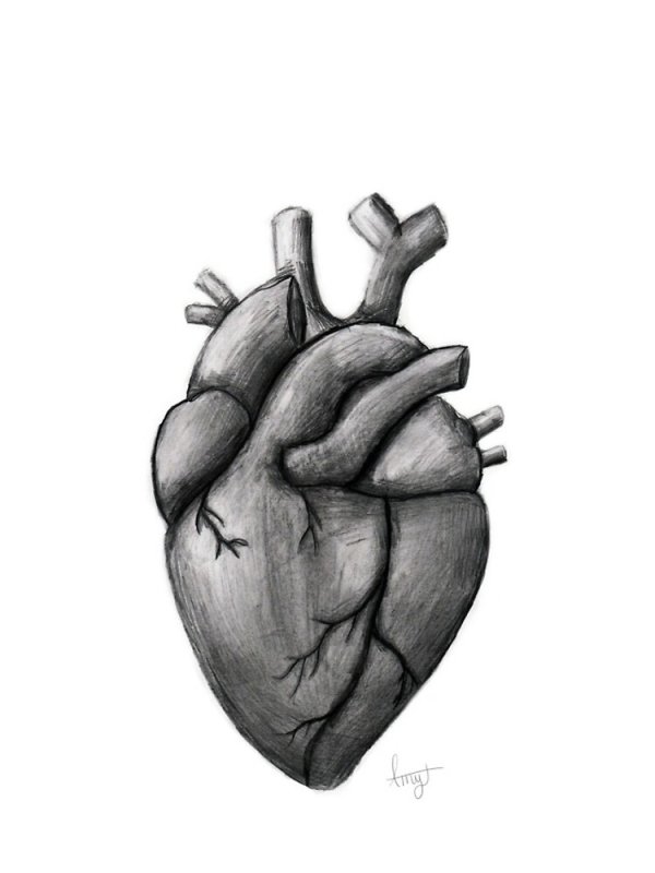 Сердце рисунок