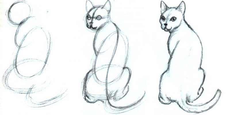 Кошка рисунок карандашом