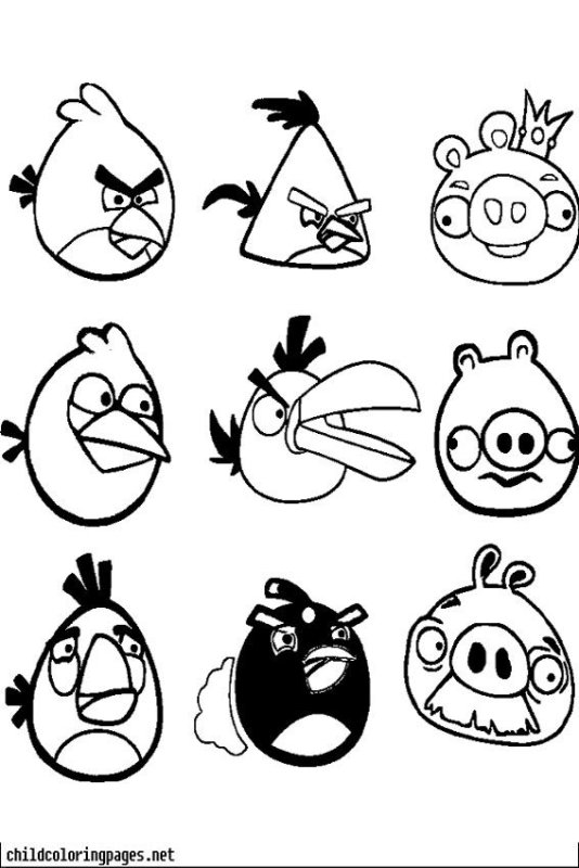 Angry Birds раскраска Теренс