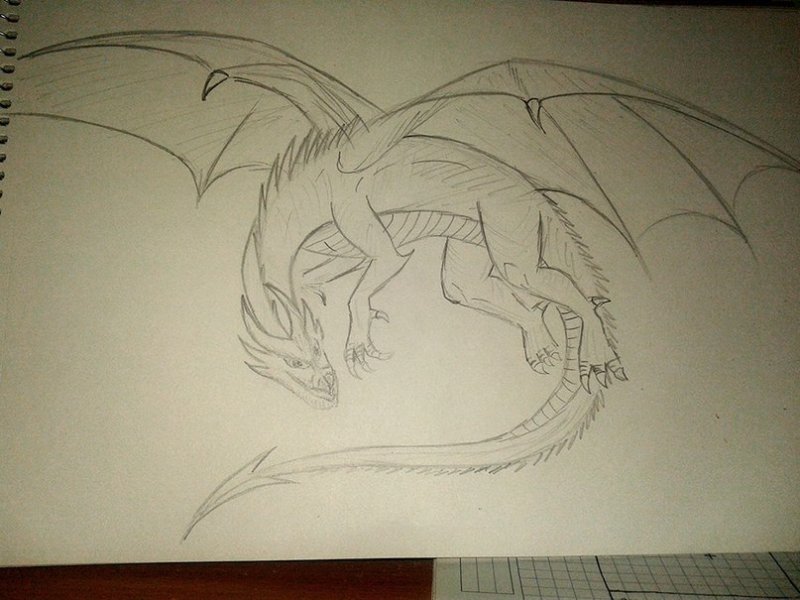 Рисунки карандашом драконы красивые