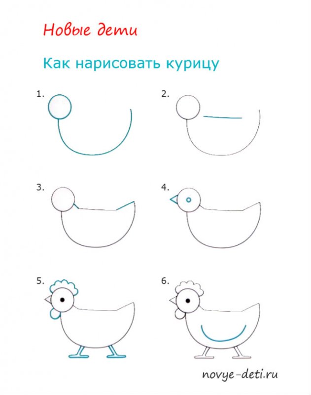 Как рисовать курочку для детей