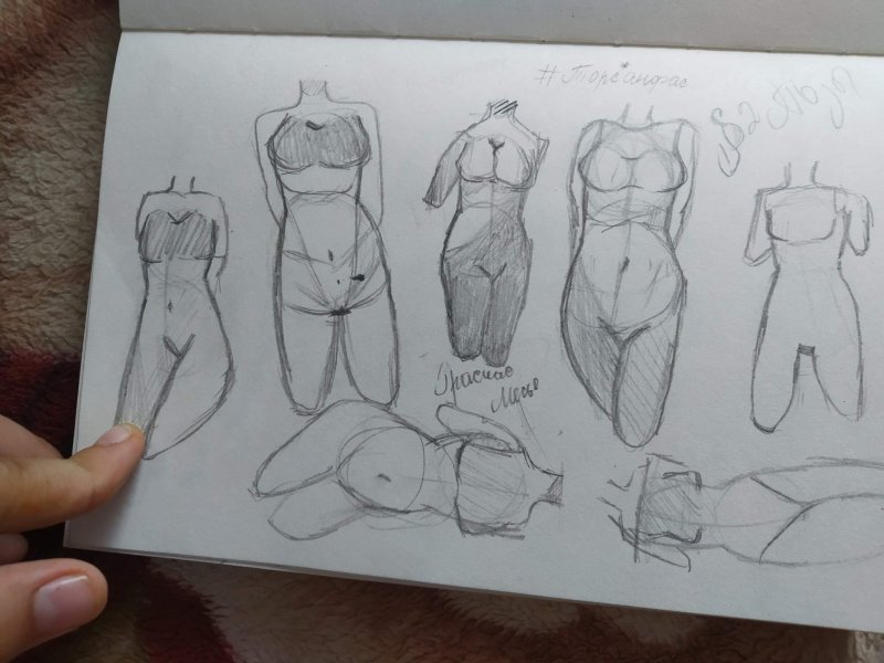 Рисунки тела для срисовки