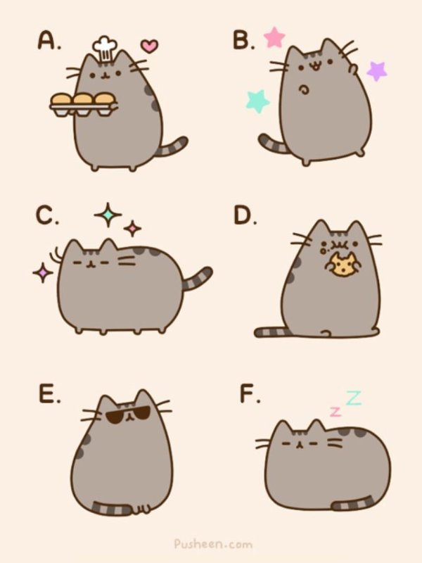 Рисунки котиков