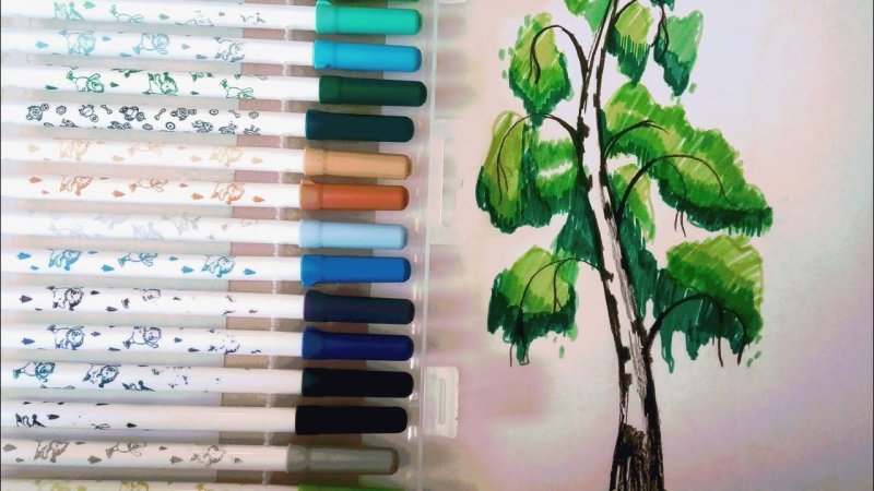 Береза рисунок