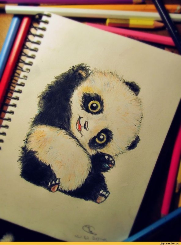 панда карандашом