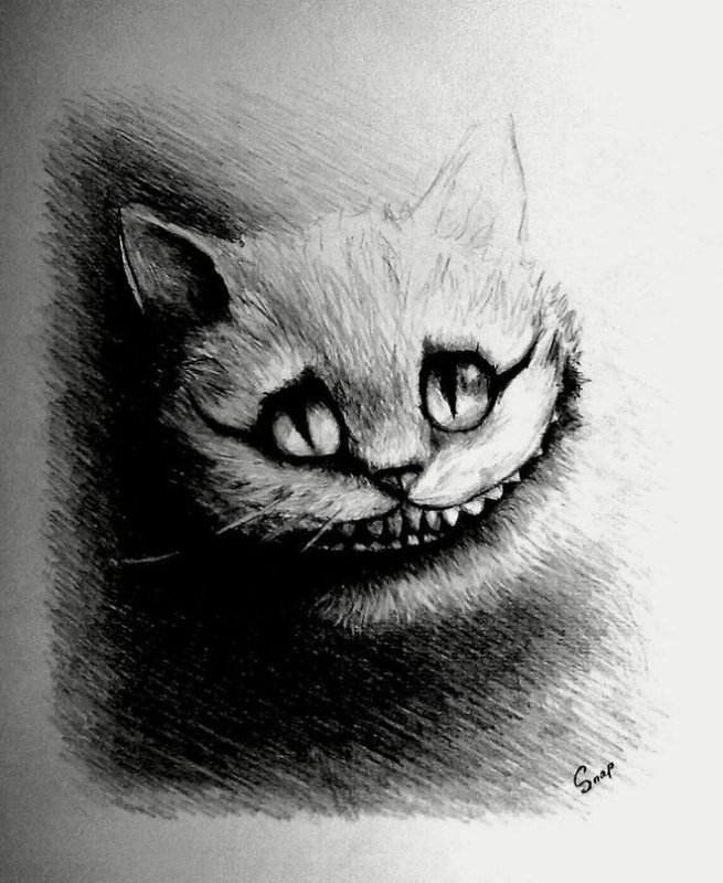 Котик рисунок карандашом