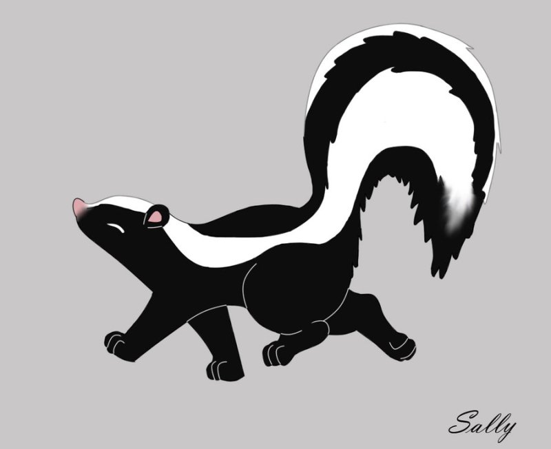 Скунс нарисовать