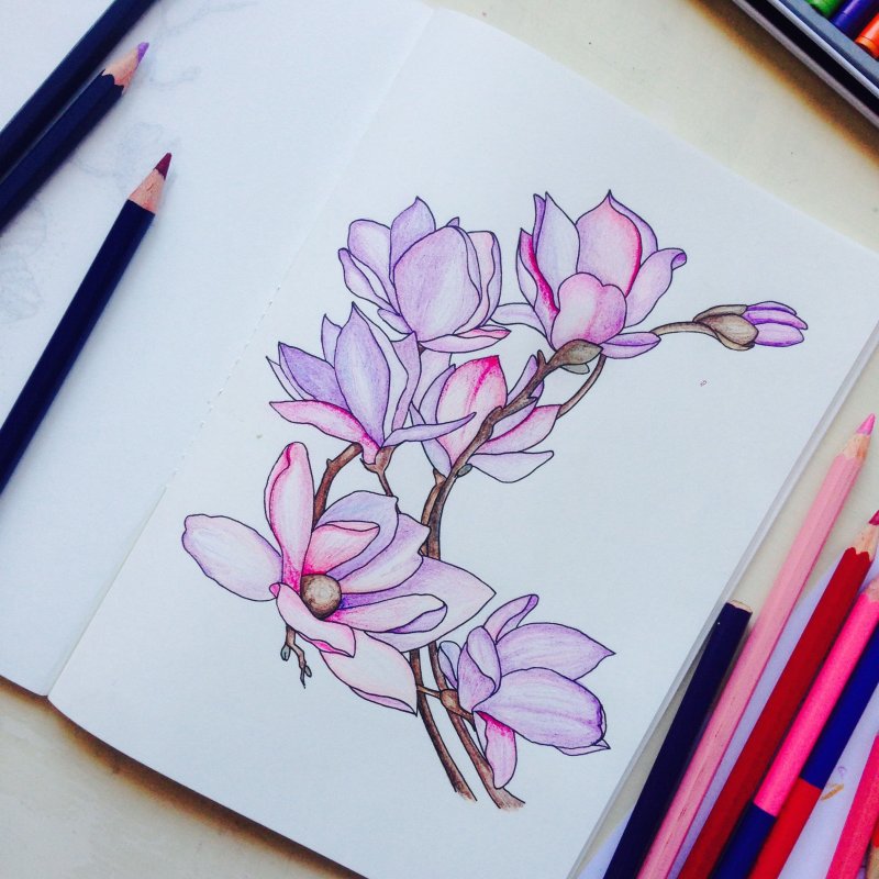 Идеи для рисунков
