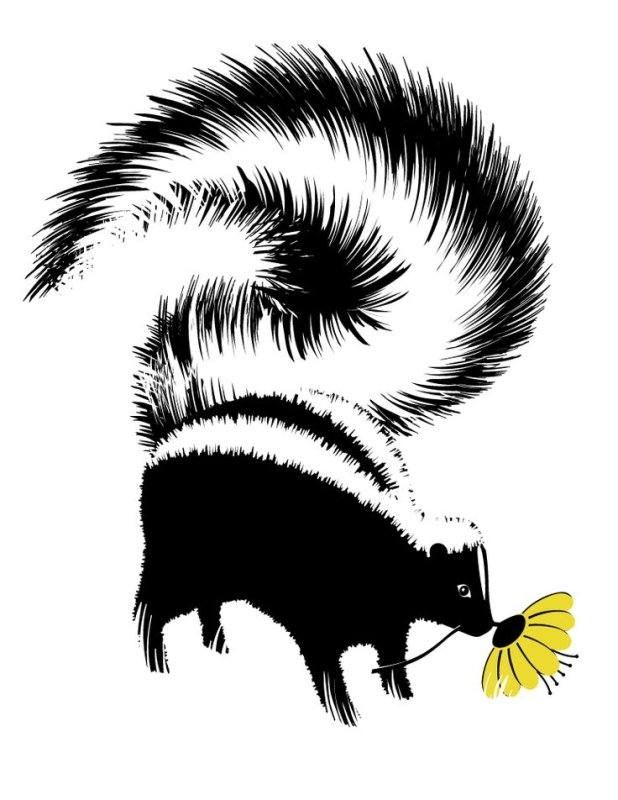 Скунс для детей