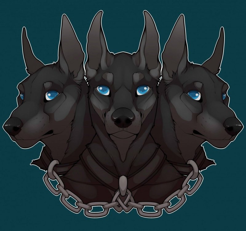 Корги Цербер