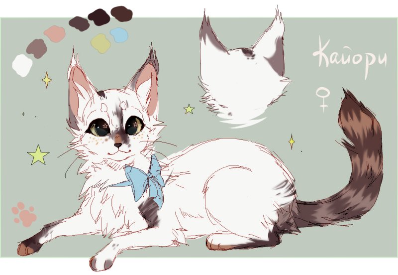 Коты Воители окрасы референс