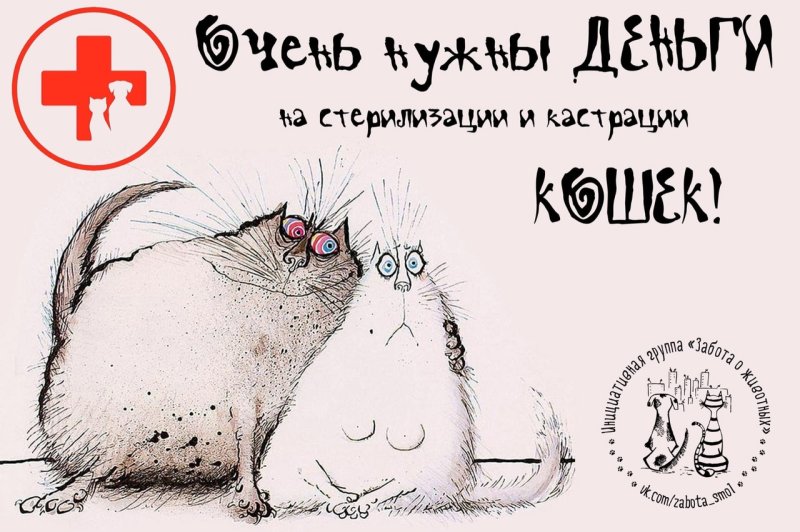 Просим помощи с оплатой стерилизации!
