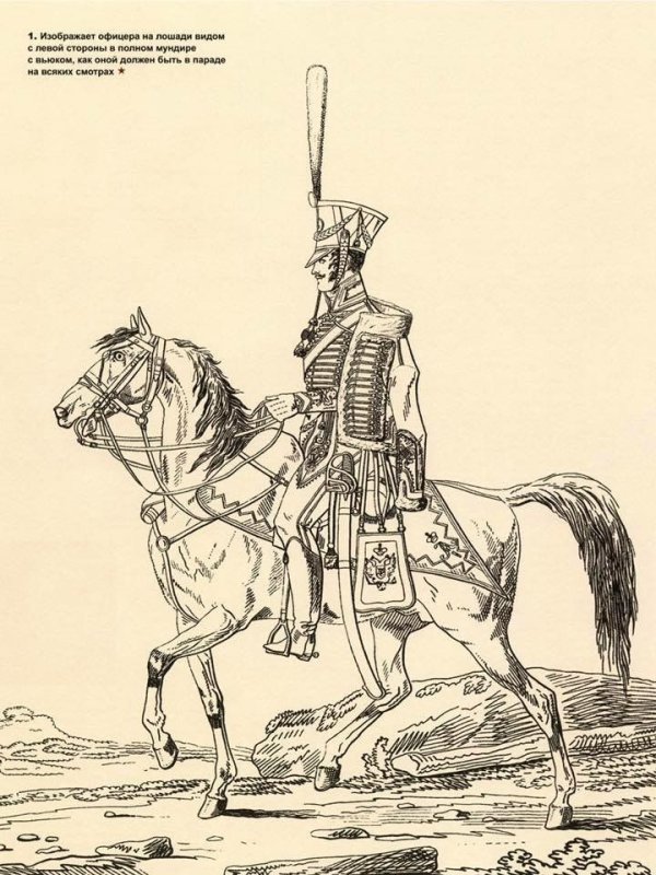 Рисунок гусара 1812 года