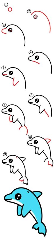 Как нарисовать дельфина