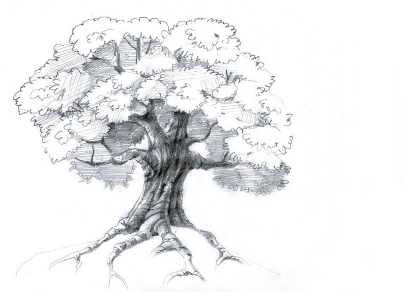 Нарисовать дерево