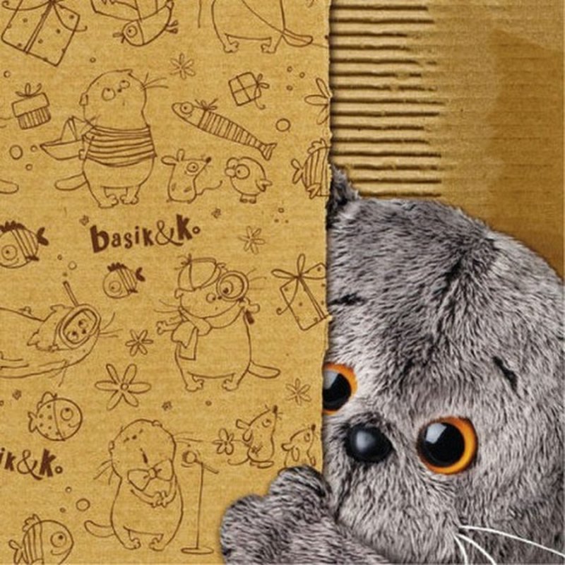 Кот Басик рисунки