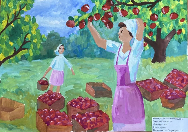 Уборка урожая детские рисунки