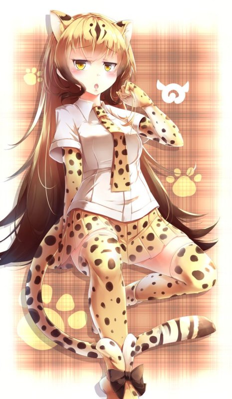 Kemono friends леопард