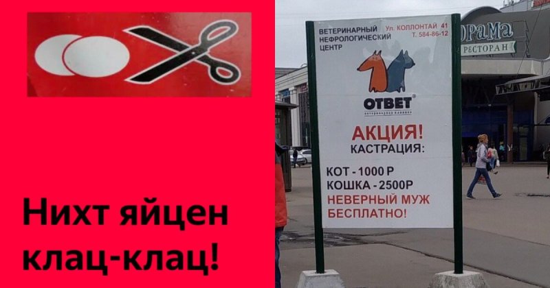 Кастрация смешная картинка