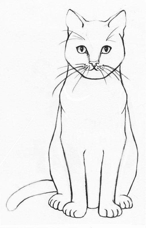 Рисунок кошки легкий