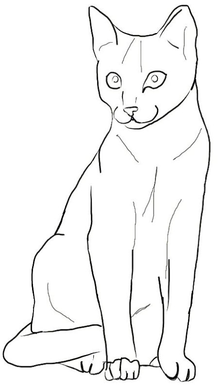 Рисунок кошки для срисовки