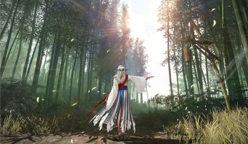 Black Desert Уса