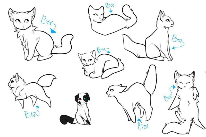 Коты Воители позы референс