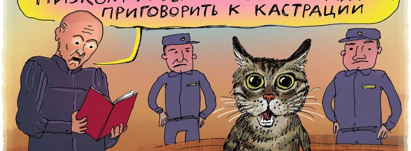 Кастрация кота картинка прикольная