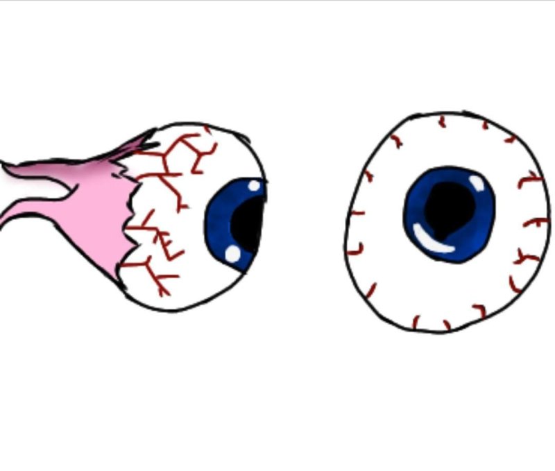 Глазное яблоко рисунок поэтапно