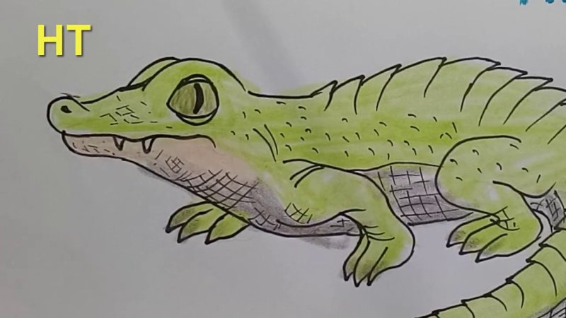 Рисование крокодила с детьми