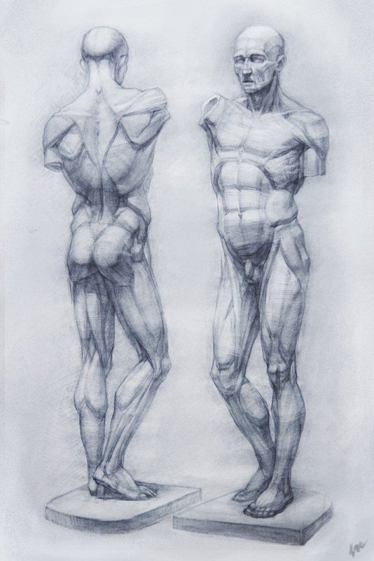 Экорше Микеланджело