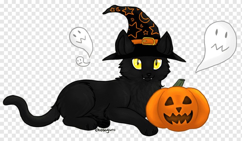 Хэллоуин кошка