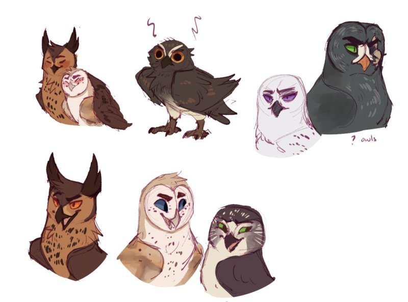 Guardians of ga'Hoole OC