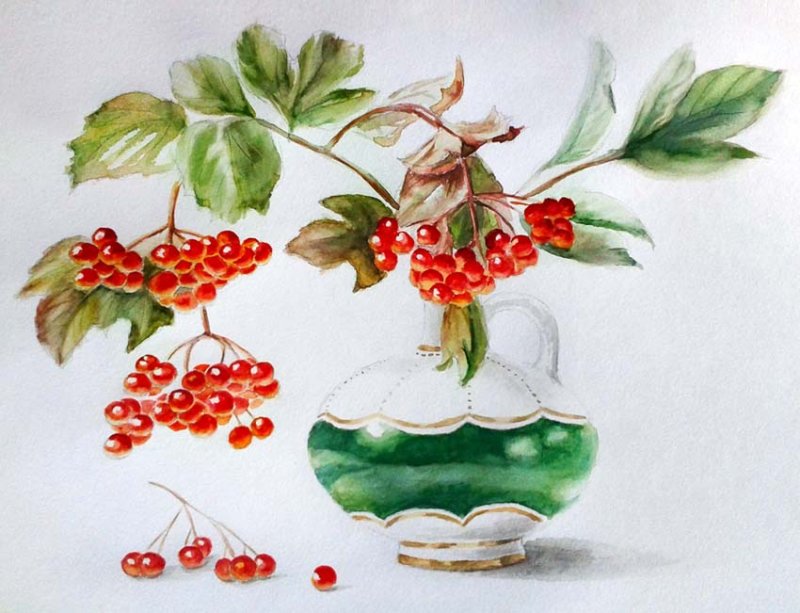 Калина рисунок для детей
