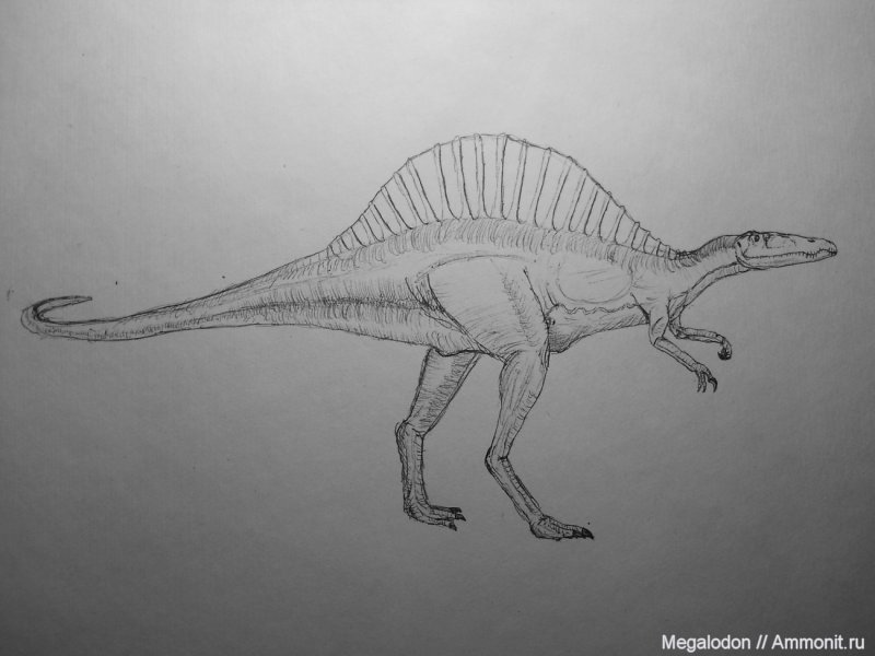 Рисунки динозавров Спинозавр