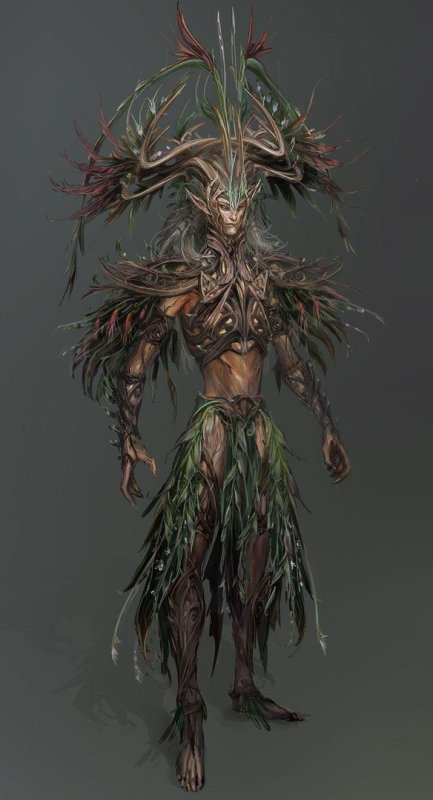 Divinity Original sin 2 эльфы