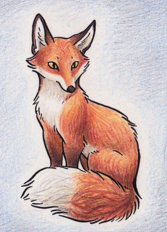 Рисунок лисы