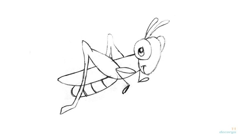 Кузнечик рисунок для детей