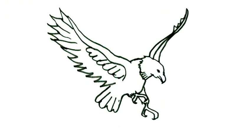 Орел рисунок