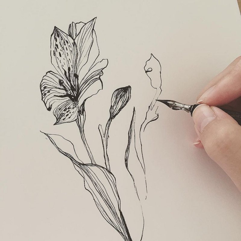 Перо для рисования