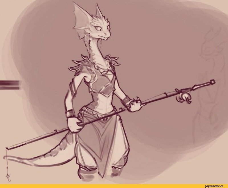 Divinity Original sin Lizards Art