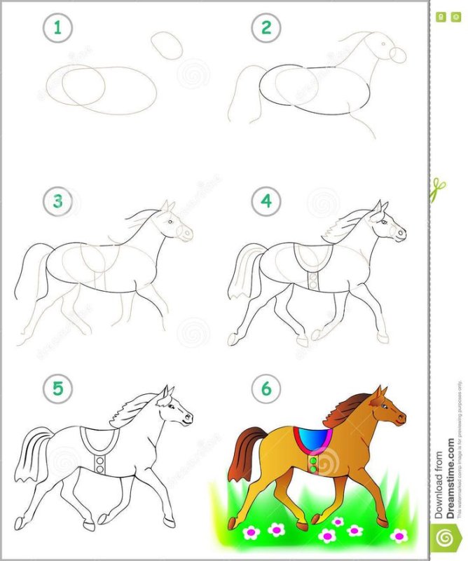 Рисование лошадей для детей
