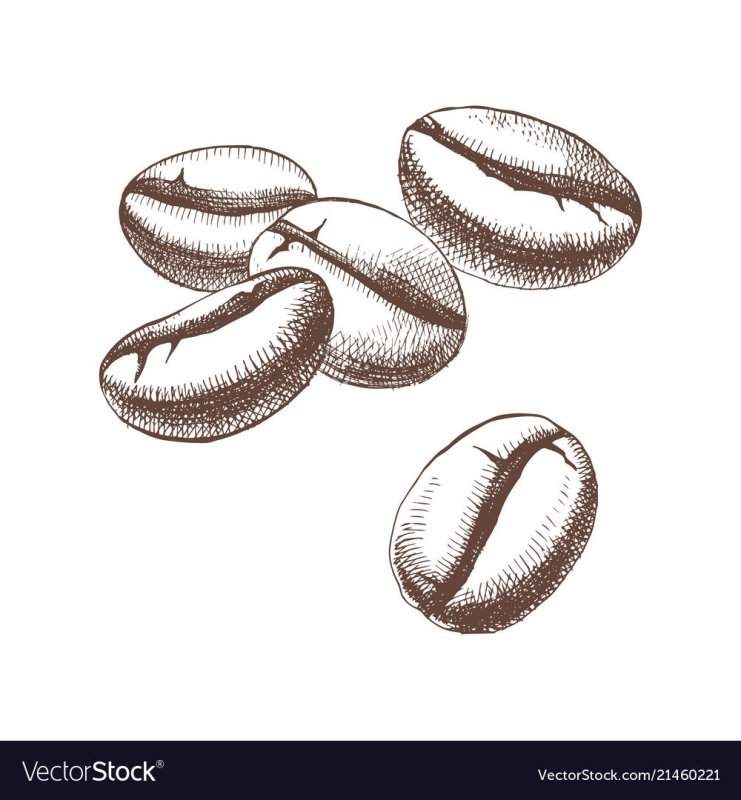 Зерна кофе скетч