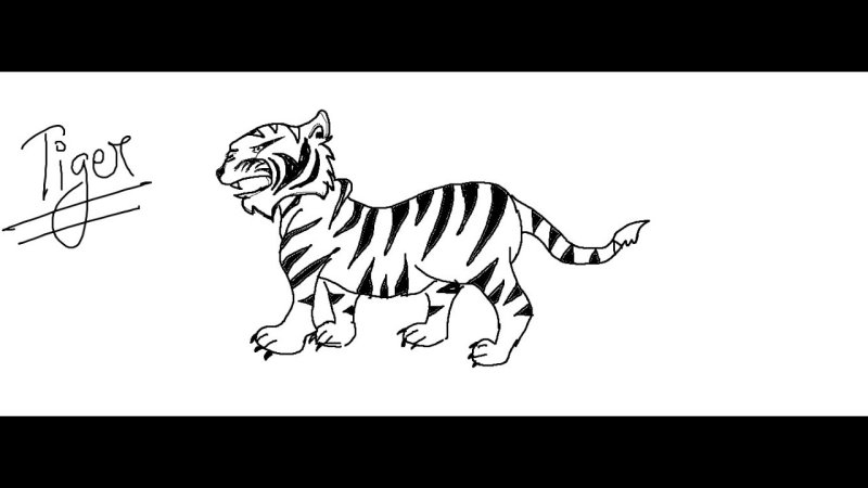 Рисунки для срисовки тигр легко