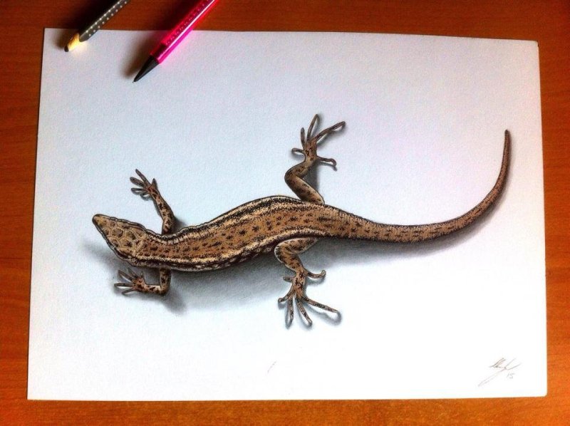 Ящерица эскиз