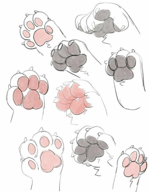 Кошачьи лапки референс