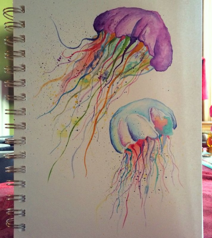 медуза акварель