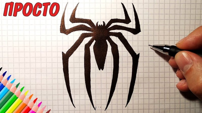 Рисунки пауков для срисовки