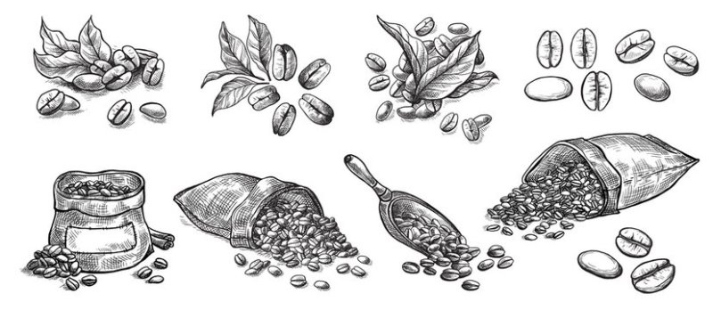 Зерна кофе рисунок