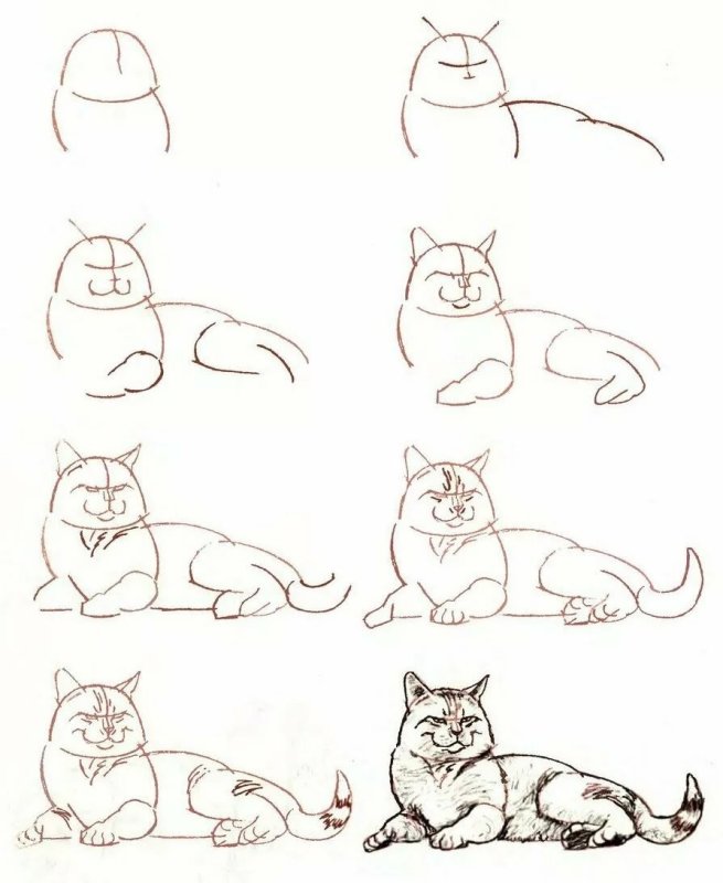 Рисунки котов для срисовки